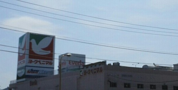 エスポワールかしまの周辺|エブリアまで1600m