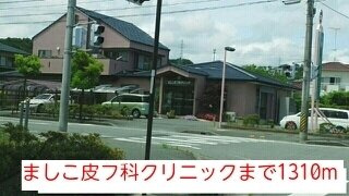 サニーガーデンⅡの周辺|ましこ皮フ科クリニックまで1310m