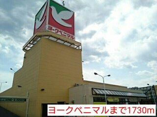 セリシール　泉の周辺|ヨークベニマルまで1730m