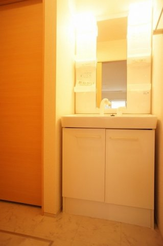 ブリーゼ・カーサＡの洗面所