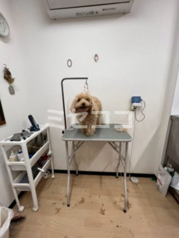 サニーハイツの内装|【サニーハイツ】内装です