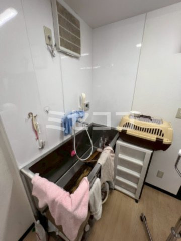 サニーハイツの設備|【サニーハイツ】ワンちゃんを洗う用のシンク