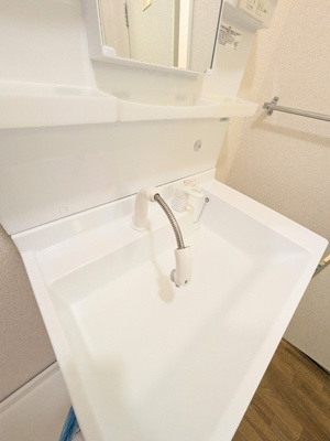 ☆シャワー付き洗面台