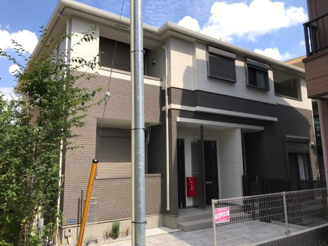 Ｇｒａｃｅ　Ｍａｉｓｏｎ