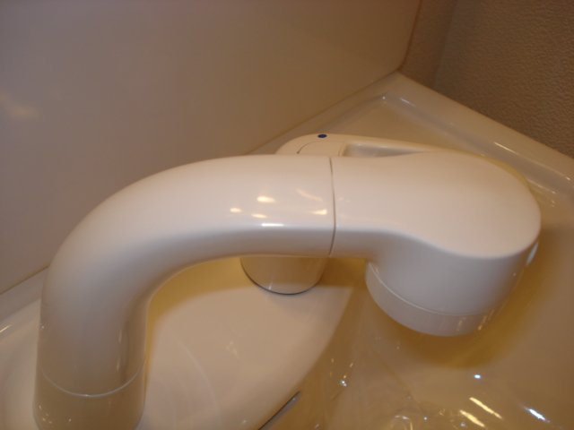 メゾン・ルミナスⅢの洗面所|洗面