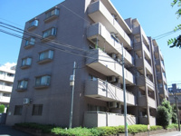 ルネ マグノリアの画像