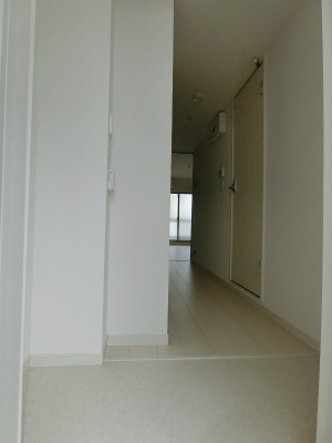 リブリ・坂戸Ⅱの玄関|落ち着いた玄関です