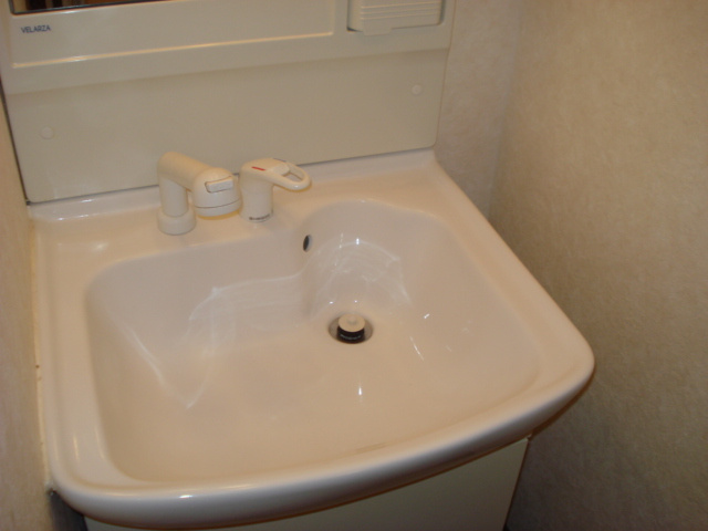 アイリスハイムの洗面所|洗面