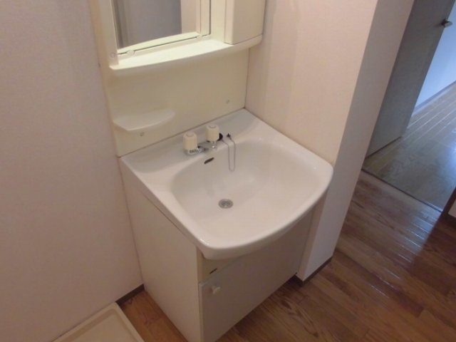 フォルテーヌⅠの洗面所