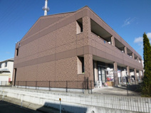 ラフィーネの画像