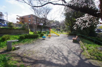 【周辺】 | たけのこ公園