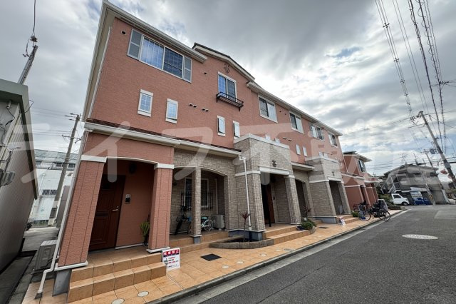 ストレリチア ジャンセア