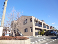 ルミナス・ウッドの画像