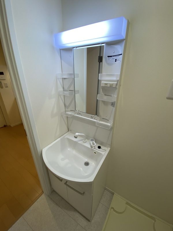 フェリーチェ馬橋の洗面所