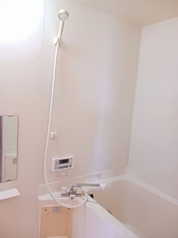 プラザ・ヴェルデ　Ａの浴室