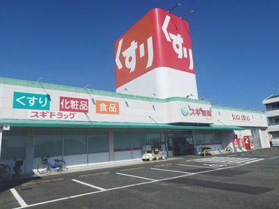 【周辺】 | Ｆｉｏｒｅ．Ｐｌａｃｉｄｏ蘭 | スギ薬局まで300m