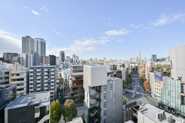 リビオメゾン西麻布の展望