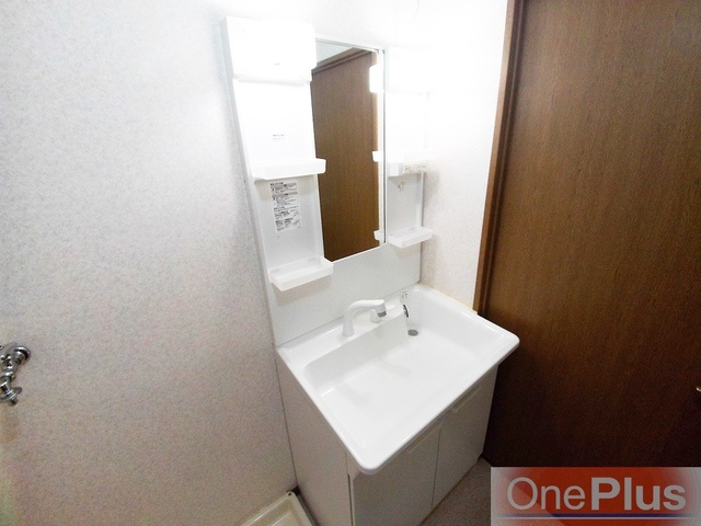 ルブニール西郷の洗面所