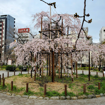 【周辺】 | ヴェルト浅草