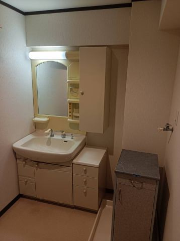 エスポワール都城Ⅱの独立洗面台