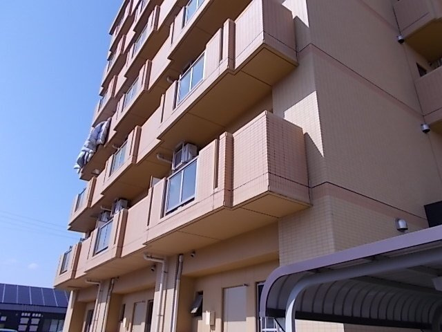 ＳｈａｌｌｏｗＷｅｌｌのその他