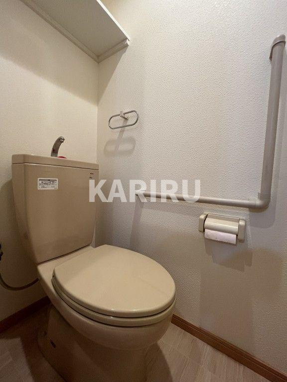 ｶｰｻｳﾞｪﾙﾃﾞのトイレ