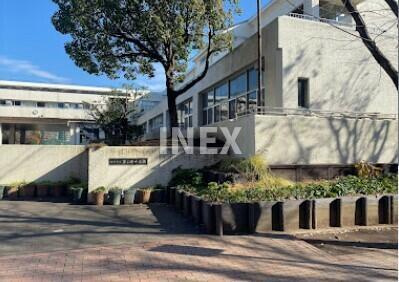 横浜市都筑区茅ケ崎南２丁目の賃貸マンションの周辺|横浜市立茅ケ崎中学校まで1175m