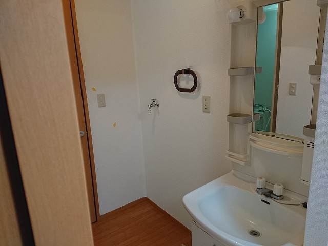 グリーンハイツ南登町の洗面所