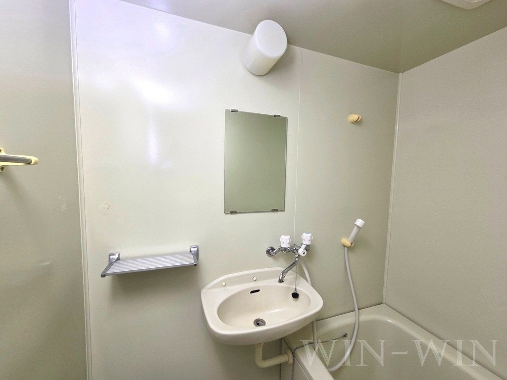 エルディム沢渡 Aの洗面所