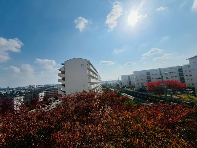 神陵台厚生年金住宅5号棟の展望
