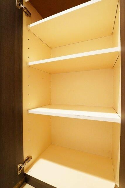 レガリアタワーレジデンスの収納