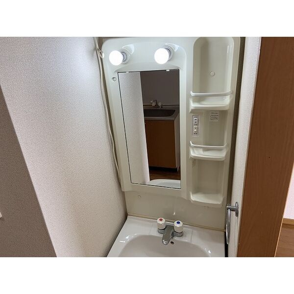 メゾン・ラポールR&Kの洗面所