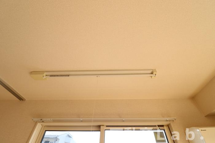 Ｎｅｕｔｒａｌ８８のその他