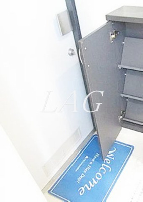 【玄関】 | バチュラー立川 | 玄関です。