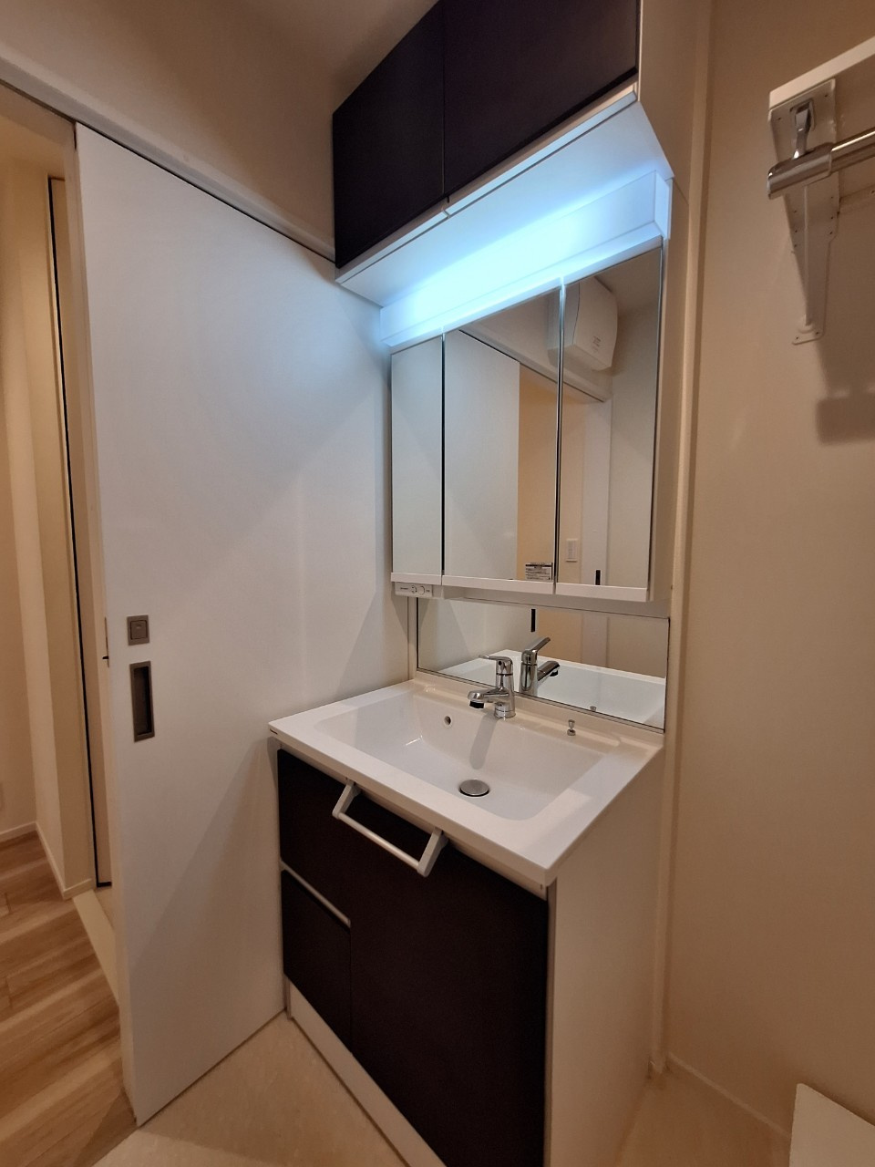 フリーシア　浜田山の洗面所