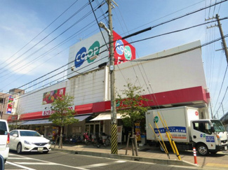 【周辺】 | コープ