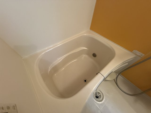 ドリームセリシールの浴室