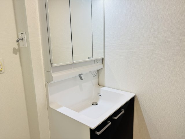 八王子市　本町　新築一戸建ての独立洗面台|～３面鏡付きの独立洗面台　細々している物をスッキリ収納出来ます～