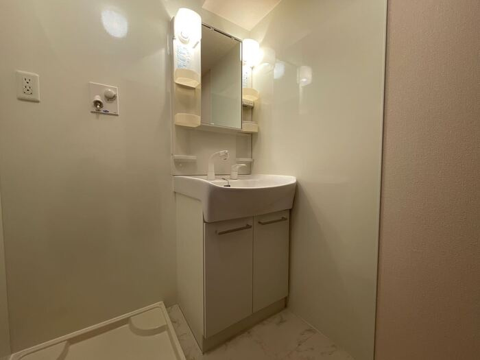 レーブ　ボナールの洗面所