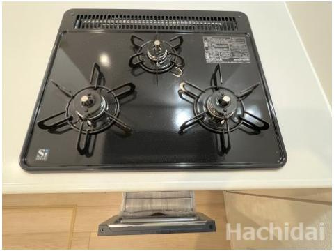 碧南市大浜上町第2　新築分譲住宅　＜2号棟＞のキッチン|お料理好きには必須の三口コンロとグリル付きのお掃除がしやすいシステムキッチンです♪
