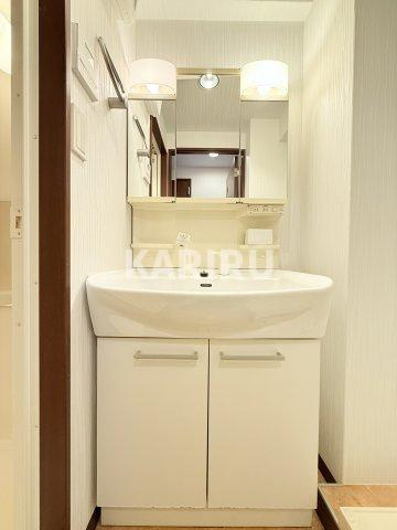 アーバンフラッツ城東の洗面所