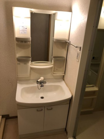 オーセンティシティの洗面所