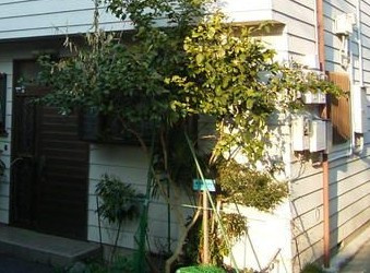 風鈴館のその他共用部分