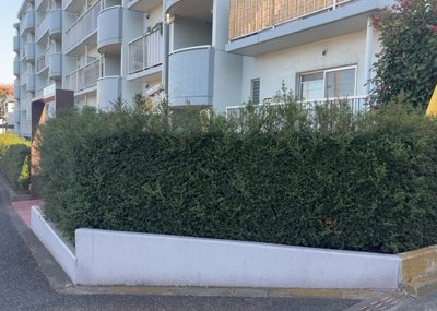 【中庭】 | グランドハイツ相模原 | 中庭（パティオ）とは、一つの建築物の内部に設けられた、壁などで囲われている庭のことを指します。コの字型、ロの字型が主流ですが、L字型の中庭もあります。最近では、インテリア性の高さからも人気があります。