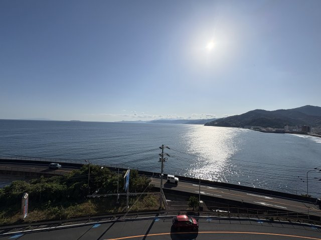 アデニウム真鶴の展望