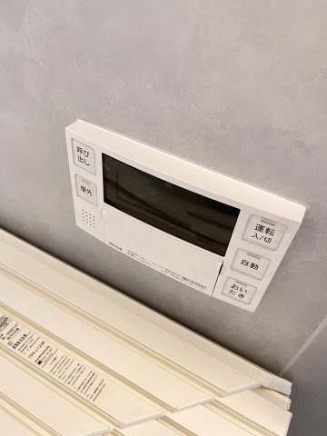 大阪市城東区中央２丁目の賃貸マンションのエントランス