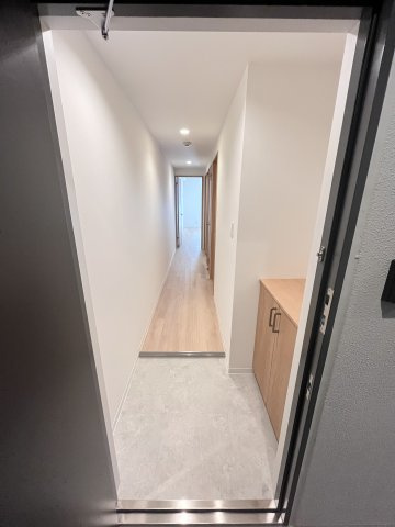 大阪市城東区中央２丁目の賃貸マンションの玄関