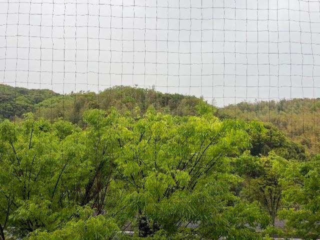 ローズガーデンのその他|眺望