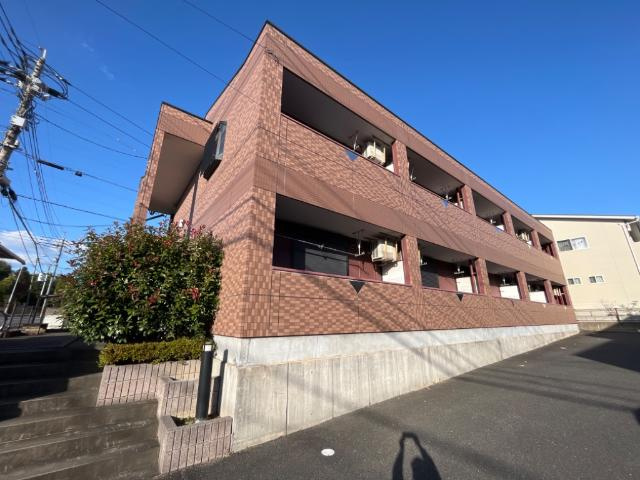 ベティプレイス