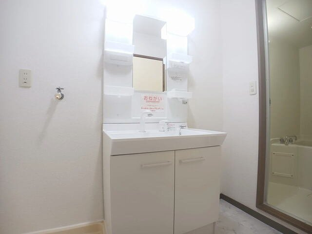 ロジュマン本城の洗面所